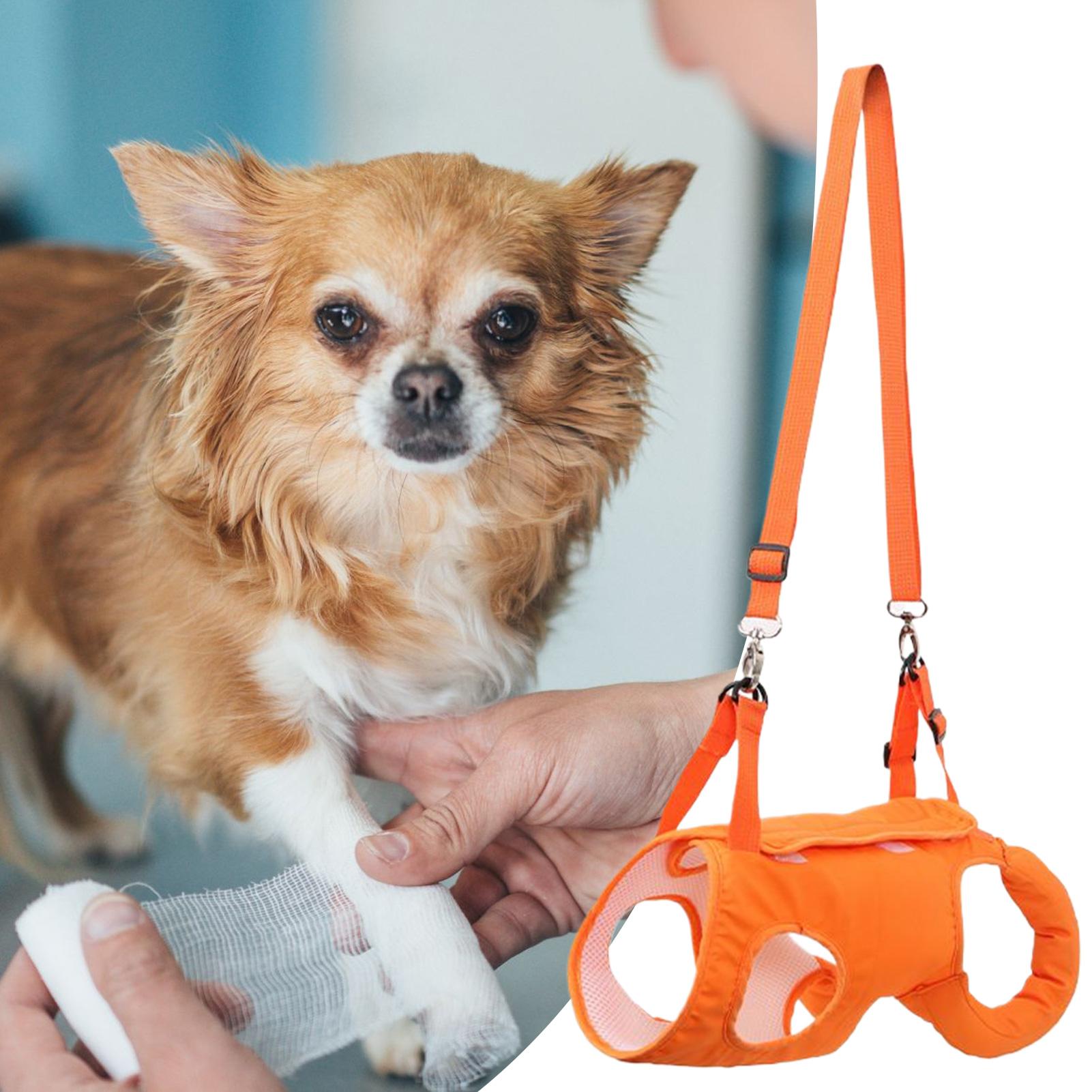 Large Dog Sling Carrier Dog St - Ladder Toss Set review and price